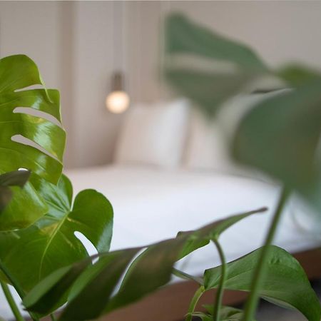Mythodea Athens Suites Exterior foto